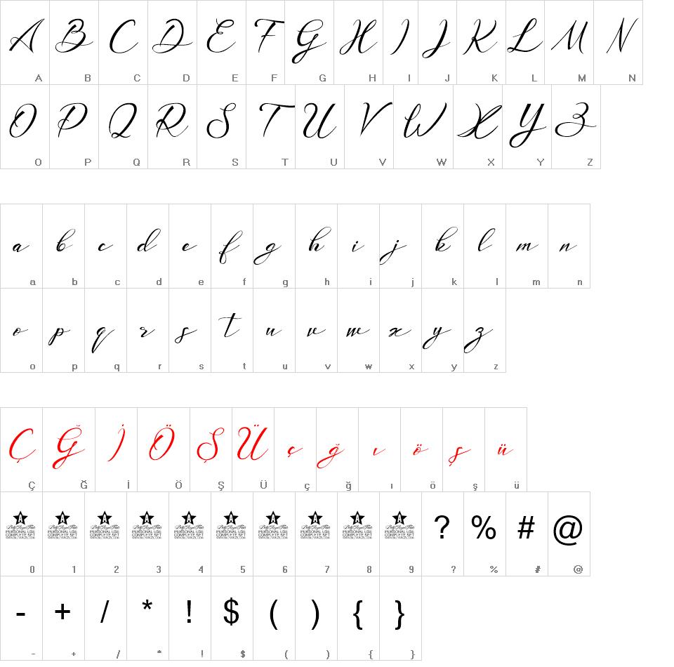 Universal Script font
